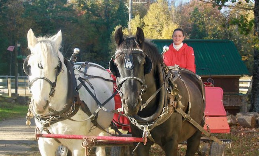 Image 2: Lasting Memories at Cornerstone Ranch: Horse-Drawn Sleigh/Wagon Ride