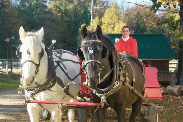 Horse-Drawn Autumn Tour along with Ice Cream Treats