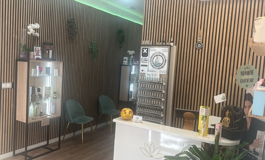 Image 6: Realza tu mirada con servicios especializados de pestañas y cejas 