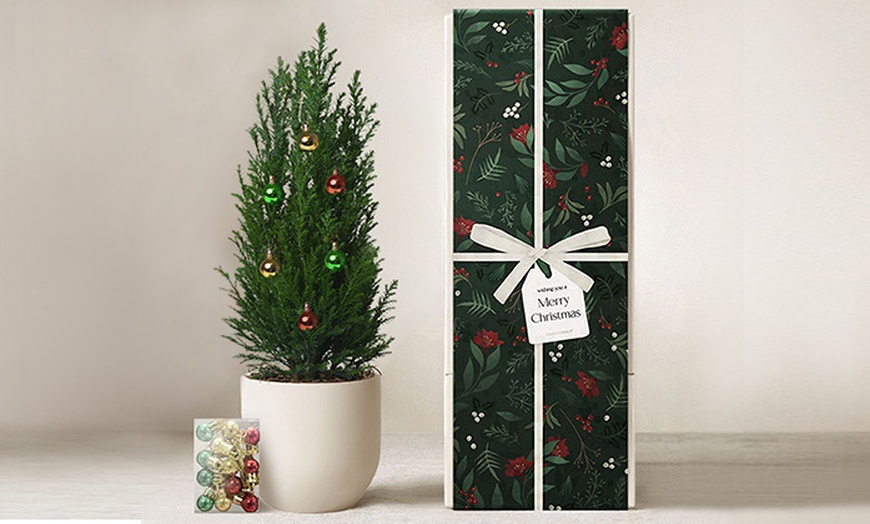 Image 4: Christmas Décor & Plant Gifts FTD.com Same-Day Delivery Up to 55% Off