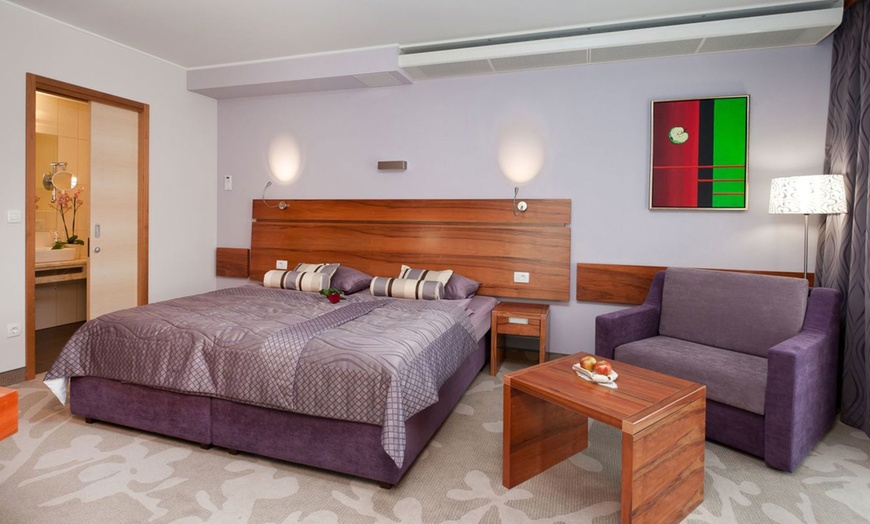 Image 5: Soggiorno in Slovenia 4*: mezza pensione con piscine all'Hotel Atrij