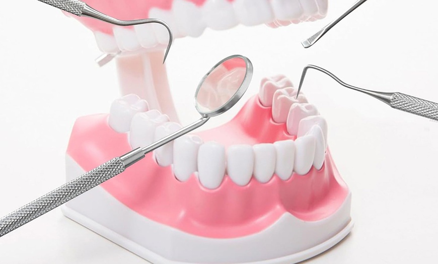 Image 8: 6Pcs Professional Dental Tool Kit