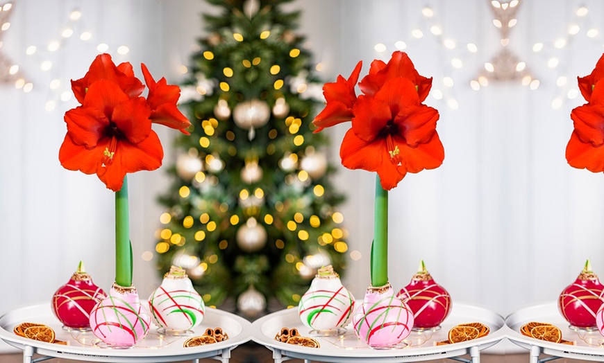 Image 1: One or Two Amaryllis Touch of Wax Art, Decorative No-Water Blooms