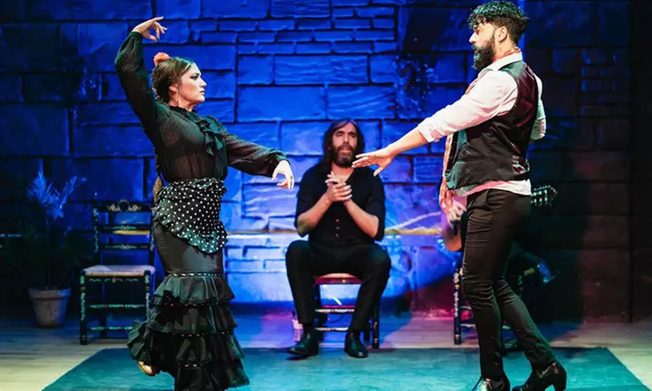 Entrada para adulto, niñ@ o senior al Baraka Flamenco Show