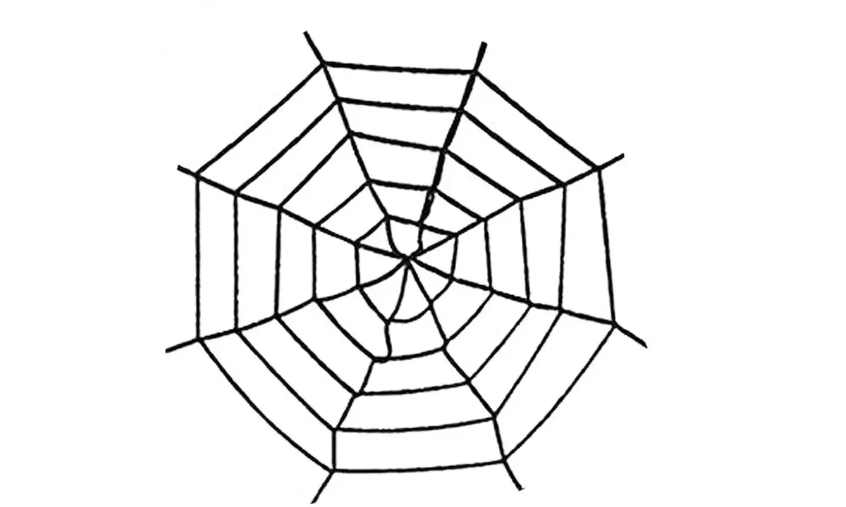 Giant Spider & Web Halloween Decoration Props