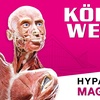 Image 1: 1 Ticket für Körperwelten in Magdeburg, einlösbar vom 28.7-22.08.2025