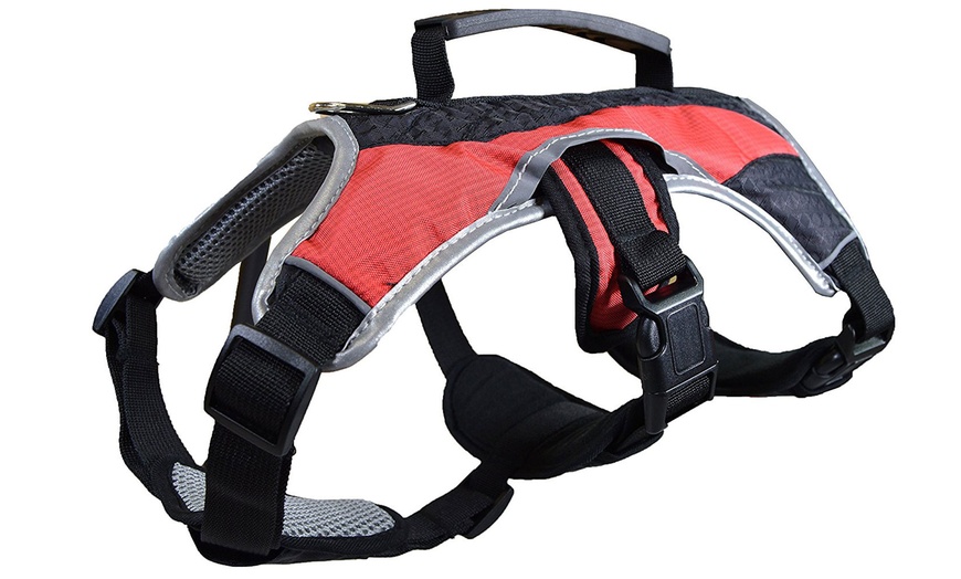 Heavy-Duty Padded Control Dog Harness | Groupon