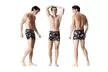 Lot de 3 boxers Pierre Cardin à imprimés, modèle et taille au choix - Second Medium
