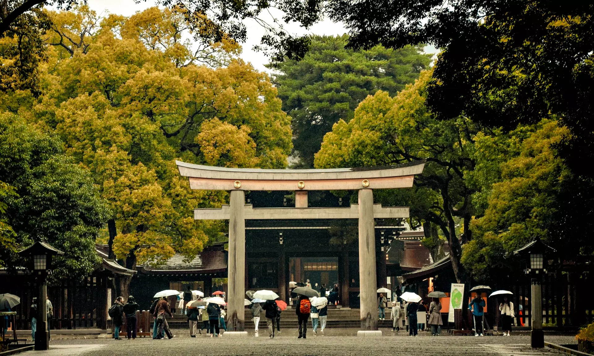 ✈ Tokyo: 8-Day Getaway with Hotel & Flights from Worldee