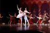 Premier Ballet’s The Nutcracker (December 6 - 7)