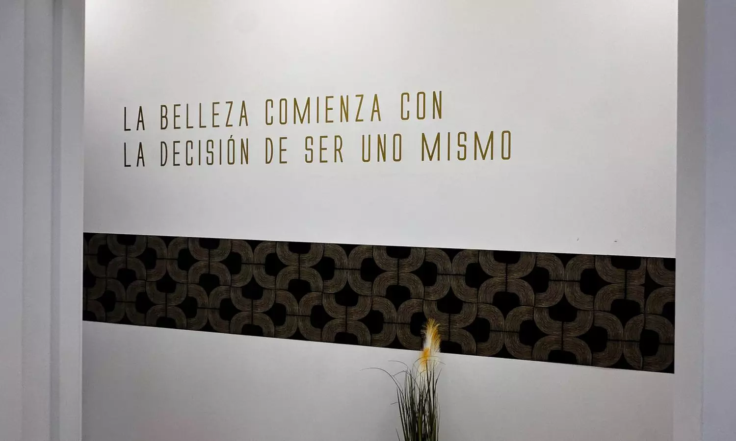 2 o 4 sesiones de lipoláser corporal efecto reductor en zona a elegir