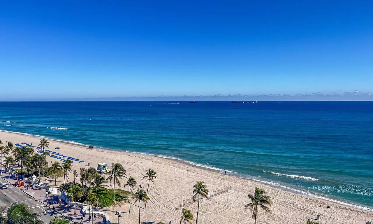 Self-guided tour for 2 hrs Wynwood / Miami Beach / Downtown Miami