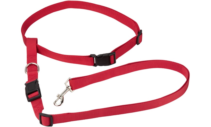 Bunty Hands-free Dog Lead 