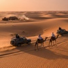 Image 1: Embark on One, Two, or Four People: Regular/VIP Half-Day Desert Safari