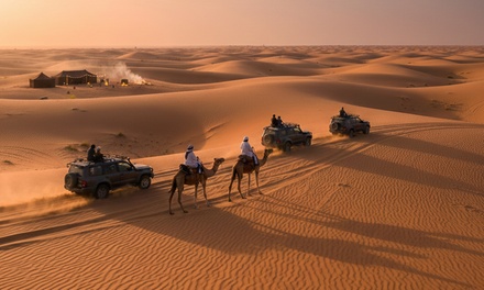 One Person: Regular Half-Day Desert Safari, Valid  to - Best Evening Safari And Tourism LLC