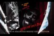 Indiana Trail of Fear - 5 Haunted Houses (September - November) - Second Medium