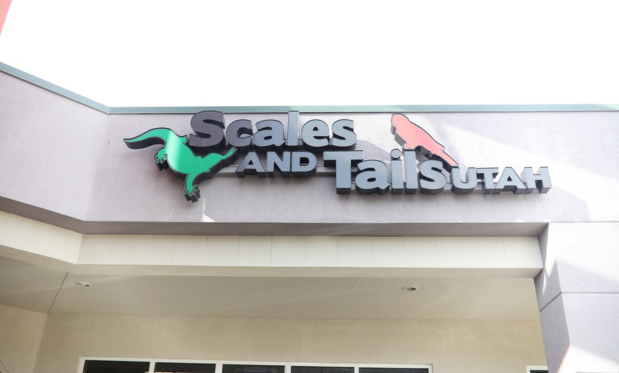 Image 3: Interactive Reptile Zoo Admission: Snakes, Lizards, and Tortoises!