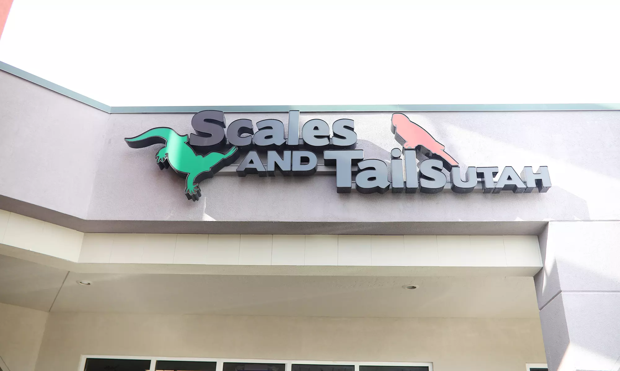 Interactive Reptile Zoo Admission: Snakes, Lizards, and Tortoises!