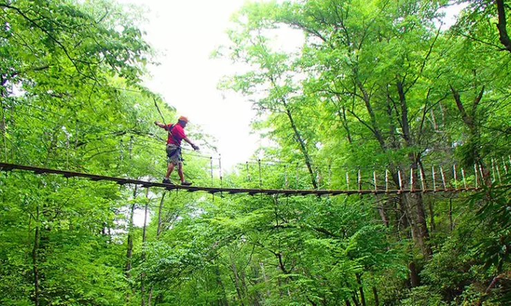 Up to 31% Off Adventure Zipline Tours at Sky Valley Zip Tours