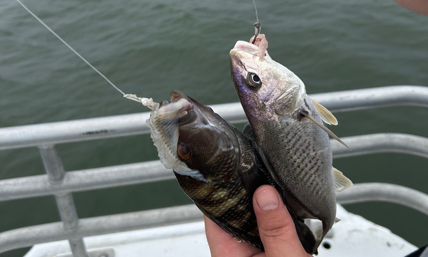 Image 5: 4-Hour Deep Sea Fishing Adventure – Wildwood Crest