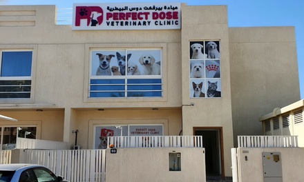 Cat Annual Vaccination - Perfect Dose Veterinary clinic