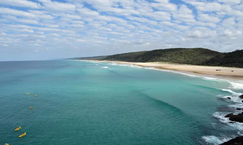 Dolphin-View Kayak Tour or Private Day Tour to Double Island Point