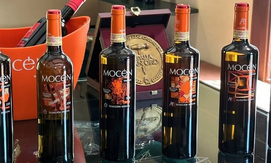 Image 11: Visita guiada a bodega para 2 o 4 con cata de 3 vinos y aperitivo