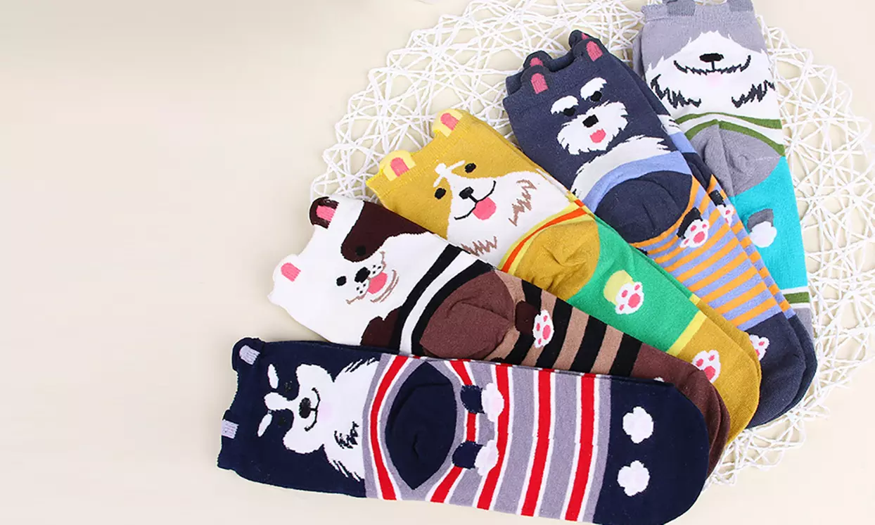 1, 5 ou 10 paires de chaussettes colorées à motifs chiens