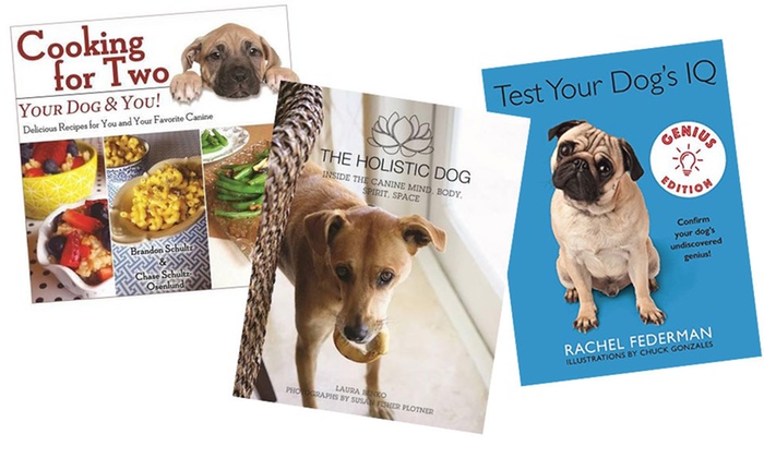 Up To 45 Off On Cat Or Dog Bundle 3 Piece Groupon Goods - 