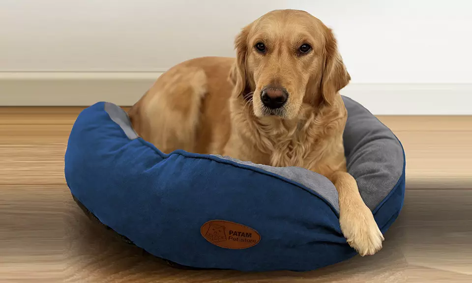 Cucce, lettini e divanetti per cani e gatti in vari modelli e misure