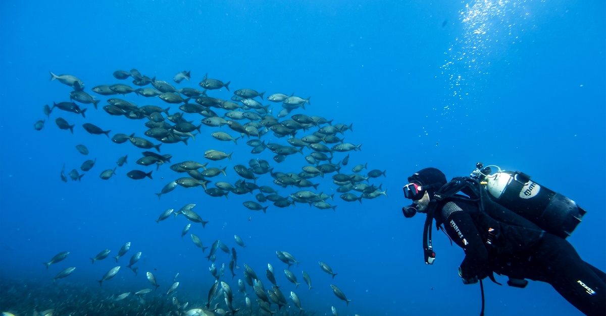 Curso de buceo SSI con inmersiones en Palma de Mallorca