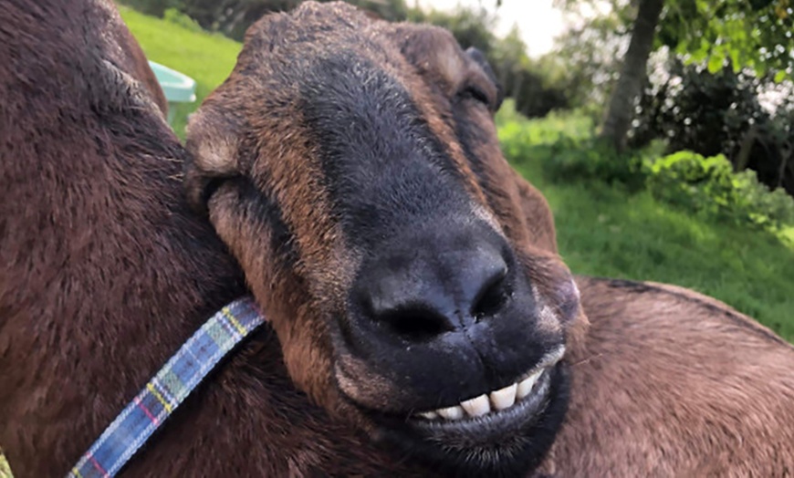 Image 7: Up to 57% Off on Zoo / Animal Park at Rustic Retreats