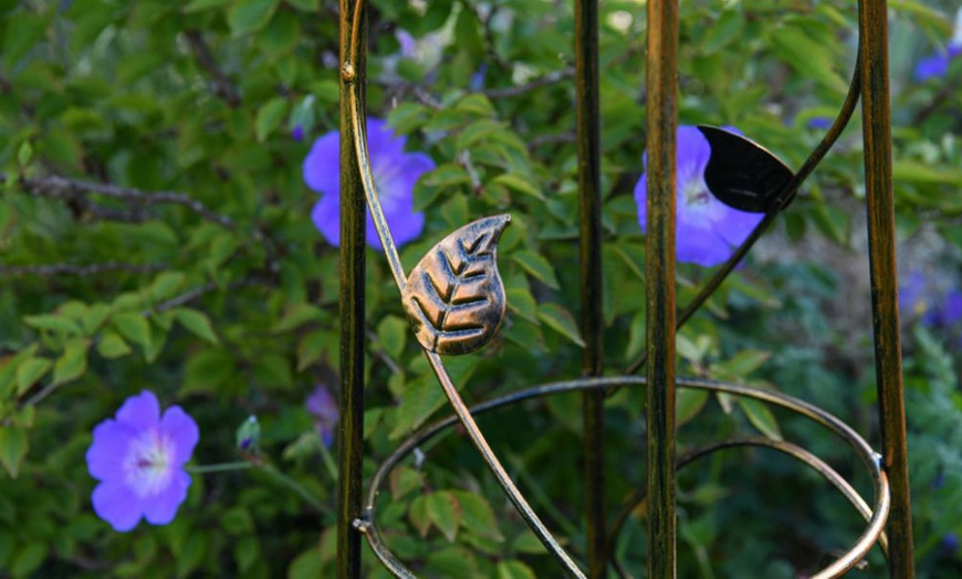 Image 20: Decorative Garden Trellis Plant Support Collections