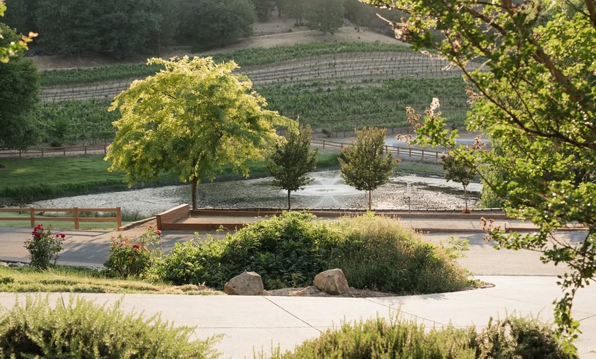 Image 4: Wine Tasting or Tour, Featuring Highland Cattle Encounter