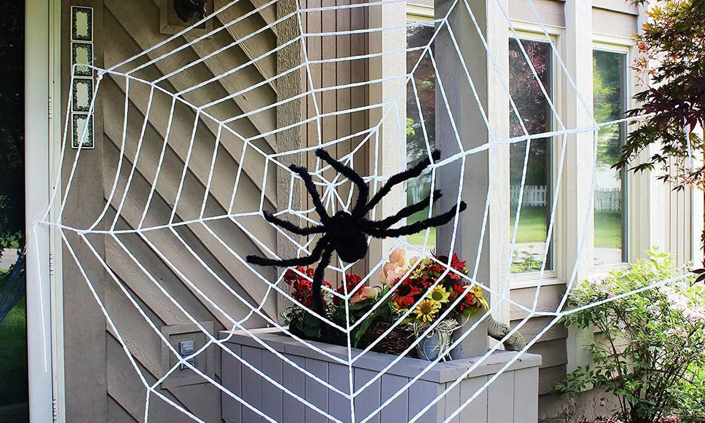 Large Fake Spider Web with Giant Hairy Spider Props Scary Halloween Decor