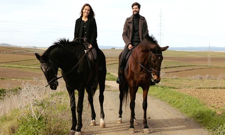 Ruta a caballo de 90 minutos por el Aljarafe hasta Itálica para 1 persona - Orillas del Guadalquivir