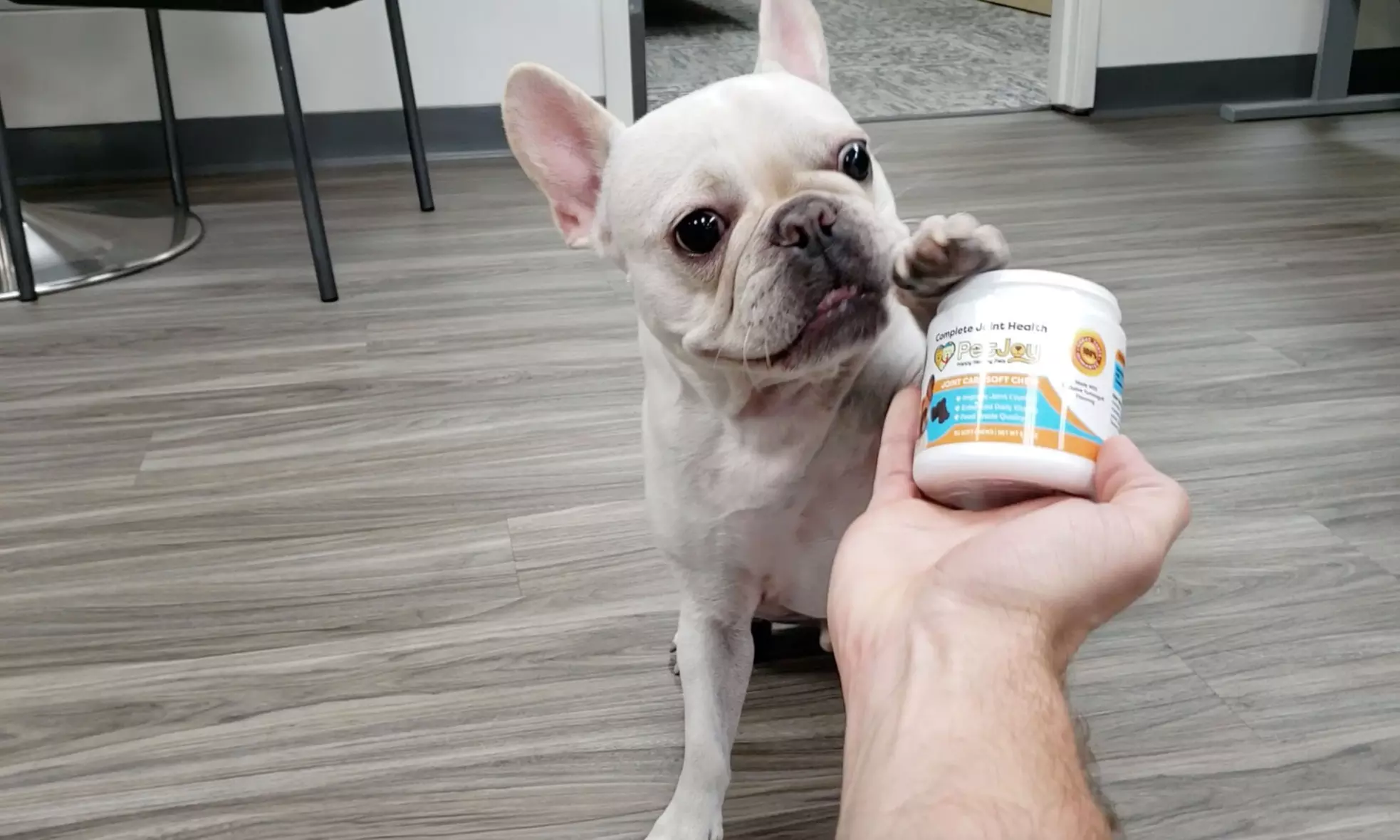 One Month of Free Pet Multi-Vitamin Soft Chews on Every Shipment with Quarterly Subscription from PetJoy ($29.99 Value) - Primary Image