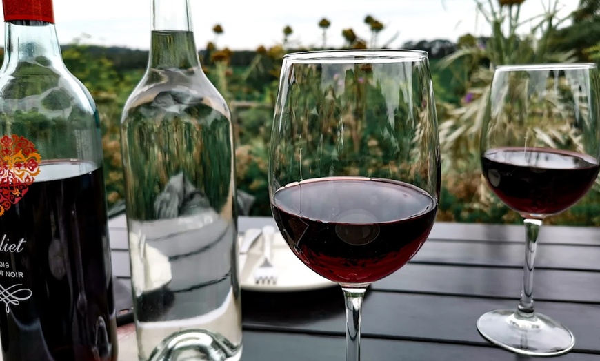 Image 5: Italian Feast with Pizza, Wine & More for Up to 10 People