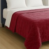 Image 20: Premium Winter Quilt: Soft, Hypoallergenic and Luxurious Comfort