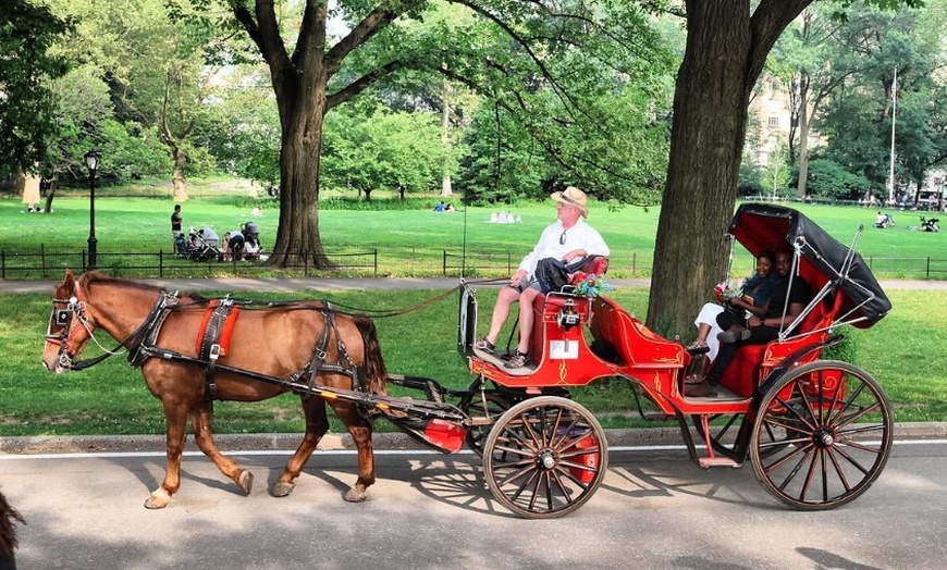 Image 2: Horse Carriage Rides with Photo Stops through Central Park