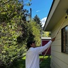 Image 2: Up to 73% Off on Pest Control Service - General at Nest Pest Control LLC