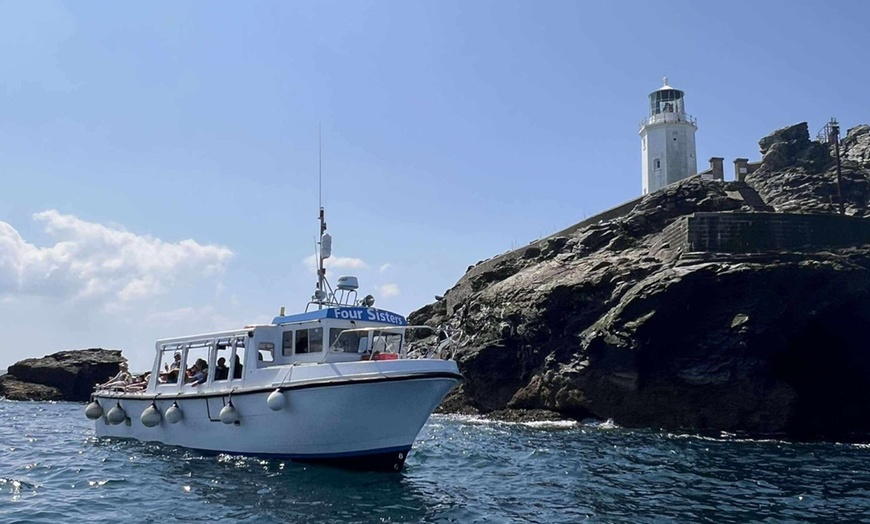 Image 8: Seal-Dolphin Spotting & Godrevy Lighthouse Trip-Upto 4 Adults & 2 Kids