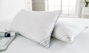 Goose Feather and Down Pillows