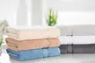 Kathy Ireland Zero Twist Cotton Plush Oversized Bath Sheet Set (2 Pack) - Second Medium