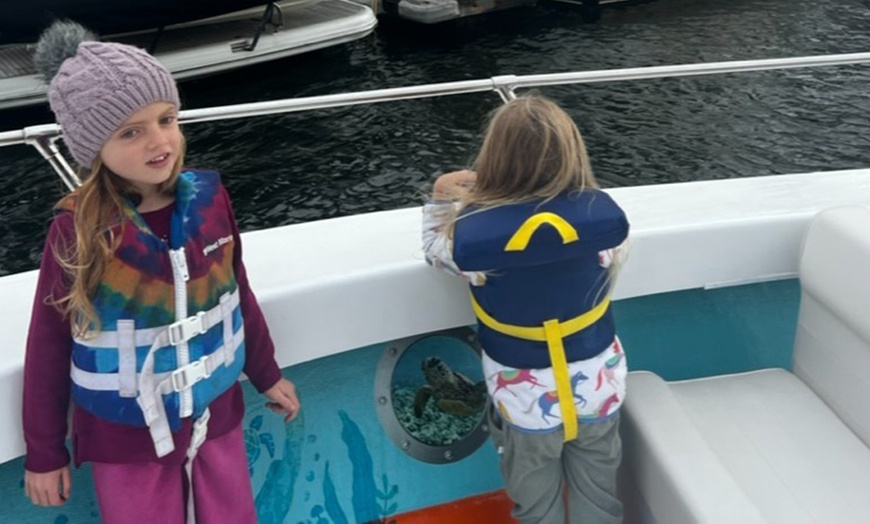 Image 4: Discover Marine Wonders on a Fast-paced Sea Safari