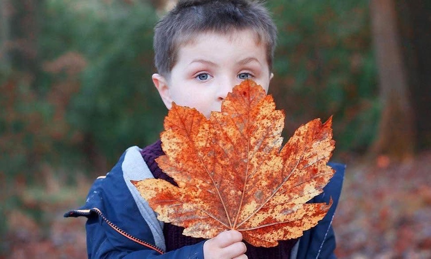 Image 16: Capture Family Magic with a Local Photoshoot in Swansea!