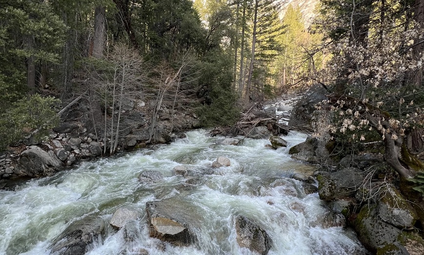 Image 12: ✈ America’s Great West: A National Parks Expedition from Worldee