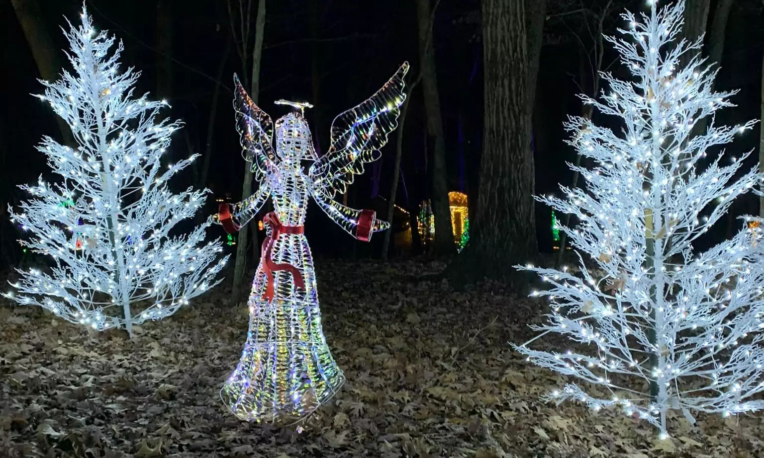 Enchanted Lights – A Holiday Stroll (Pittsburgh)