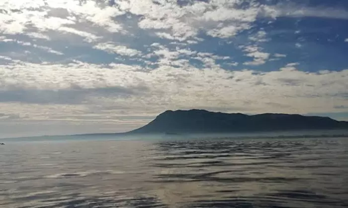 Practica el deporte de moda con un servicio de alquiler de paddle surf