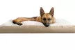FurHaven Pet Ultra Plush Deluxe Pillow Dog Bed - Second Medium